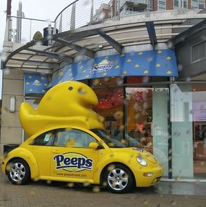 Meet your Posher, Brandon